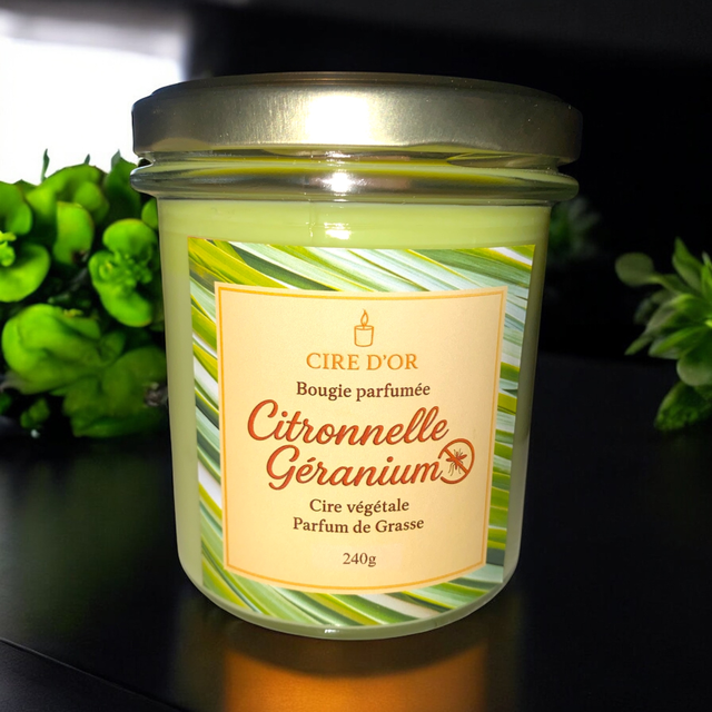Bougie citronnelle géranium 