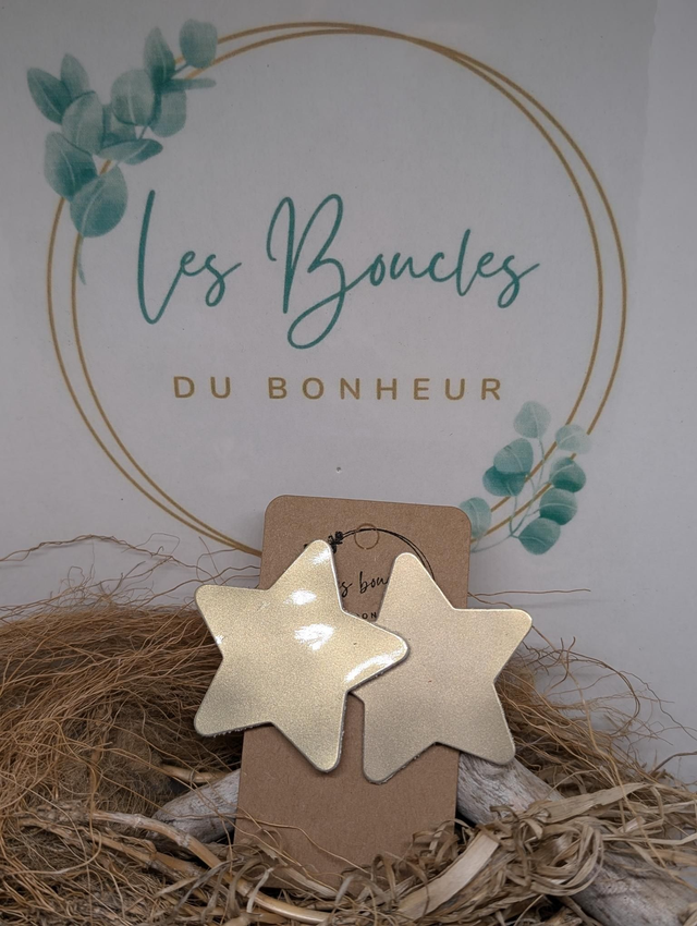 Boucles d&#039;oreilles Star s102 luxe