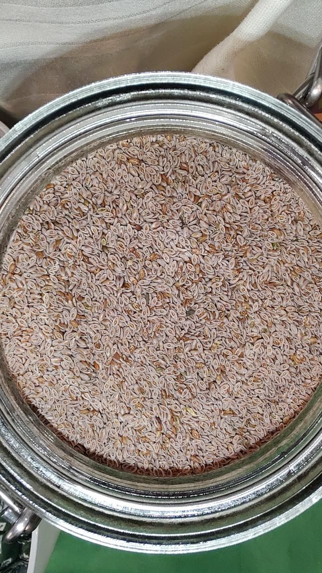 Psyllium / vlozaad
