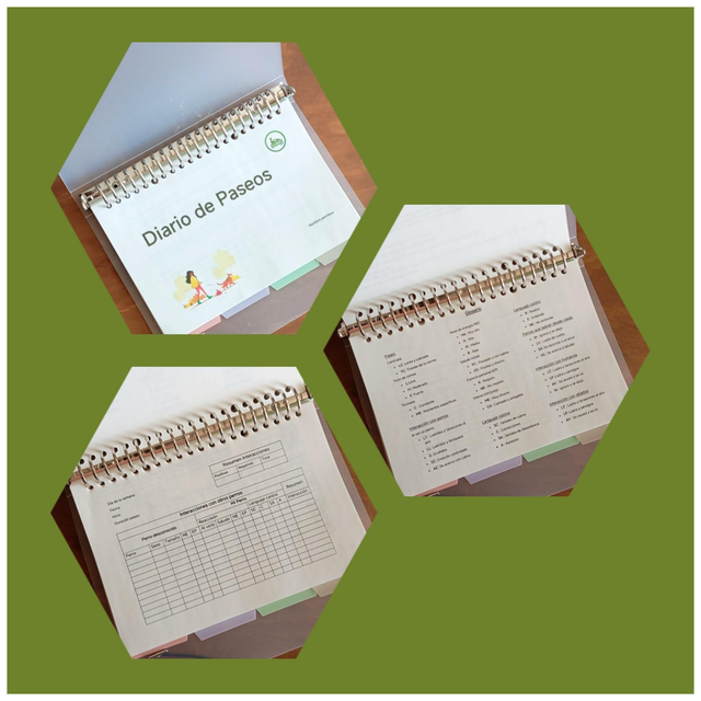 Diario de paseos