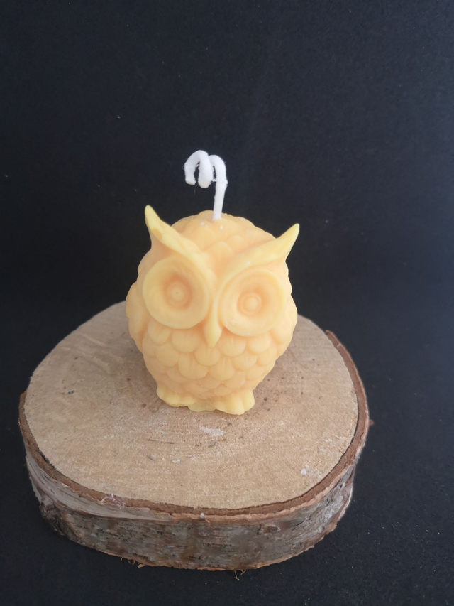 Chouette en cire de soja de différentes couleurs 