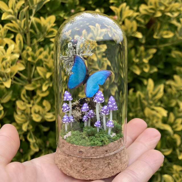 Papillon bleu champignons phosphorescents