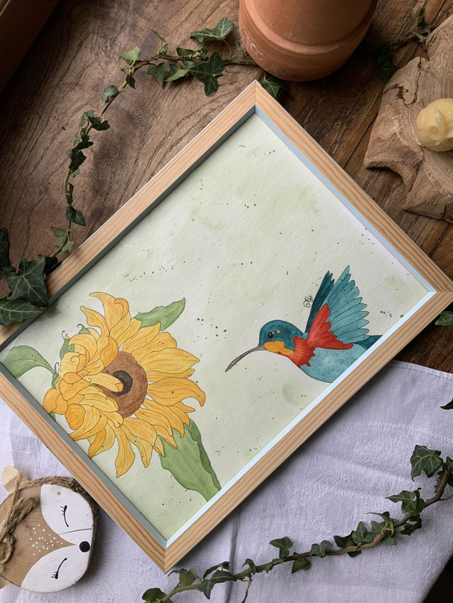 « Colibri flamboyant »