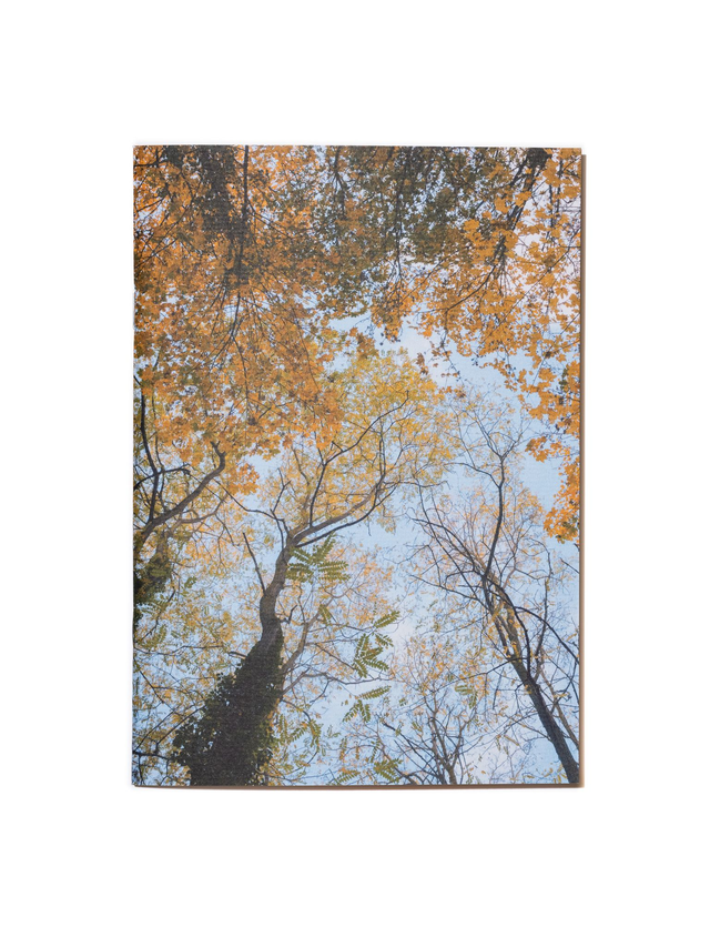 Carnet de notes A5 - &quot;Automne&quot; - 64 pages blanches
