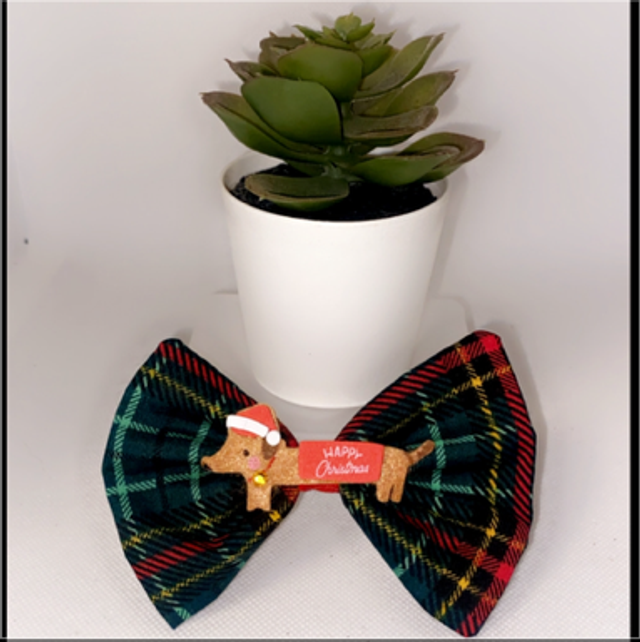 Dachshund crazy Christmas 