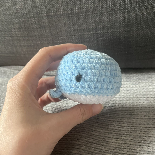 Baleine bleue