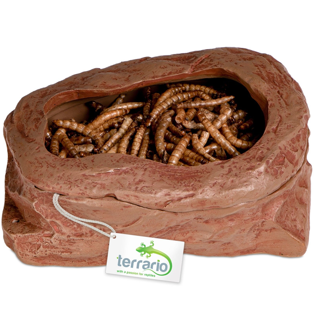 Terrario SplitRock Smart Bowl – miska pro krmení živým krmivem 11x9x4 cm