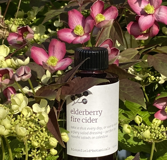 Elderberry Fire Cider 