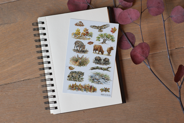 Stickervel Bosdieren - "Majestic Forest" - Rozeka