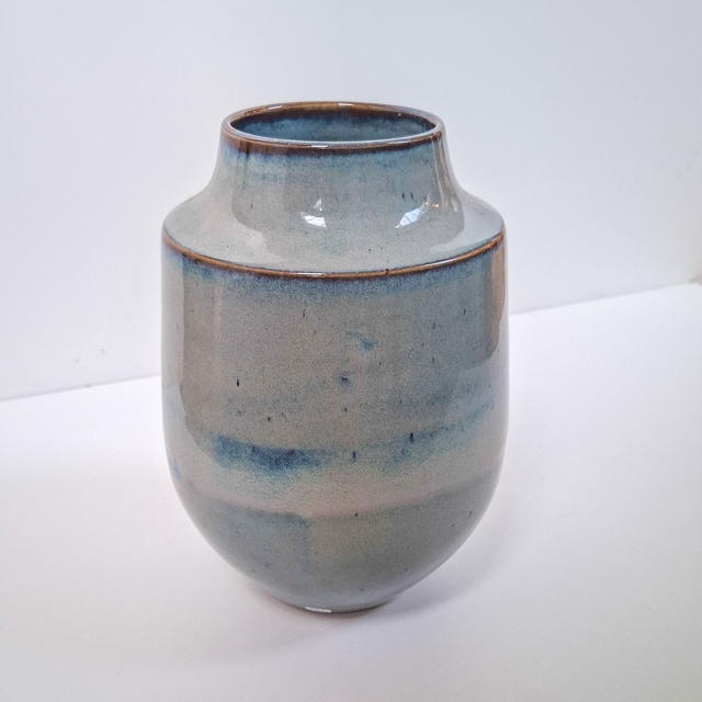 Vaas Bleu Cambré VBC222.156