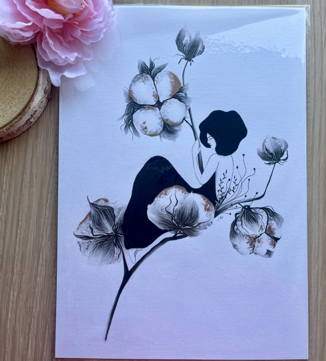 Illustration « fleur de coton    » 