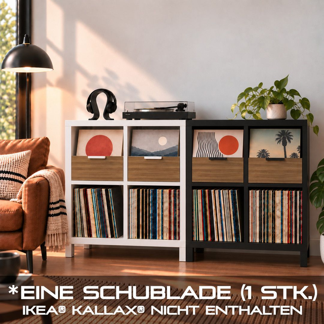 Vinyl Display Box (Custom)
