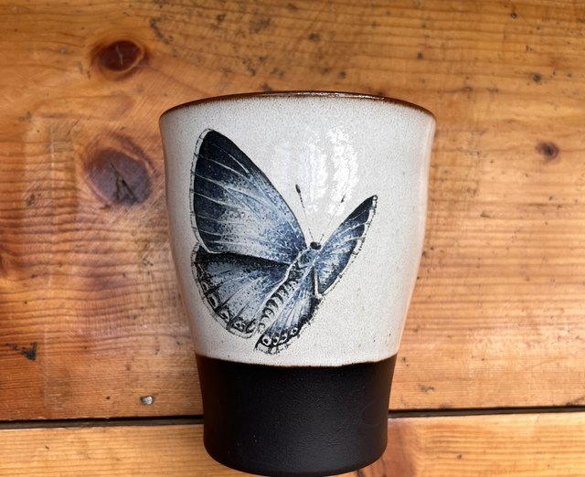 Teebecher Bläuling (MSM)