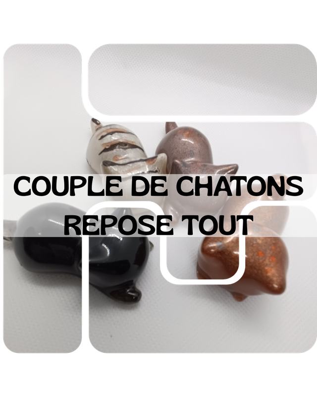 Couple chatons repose tout