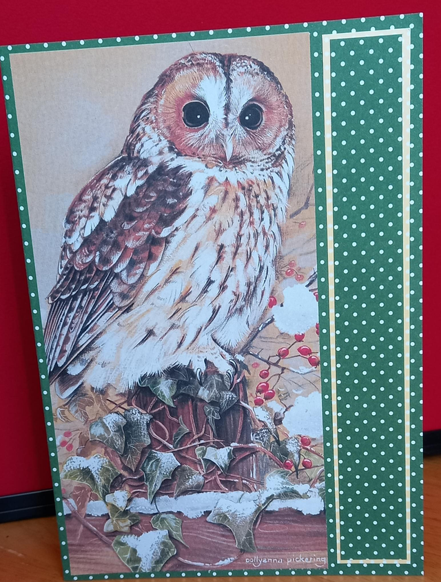 Owl A5 card 