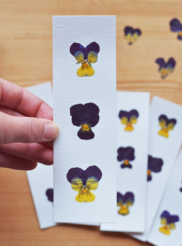 Marque-page de plantes séchées