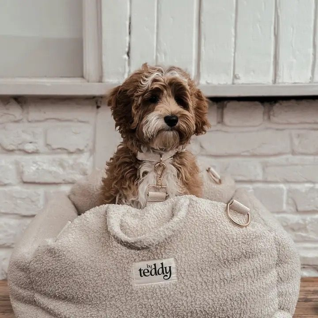By Teddy Cosy Car Seat 
