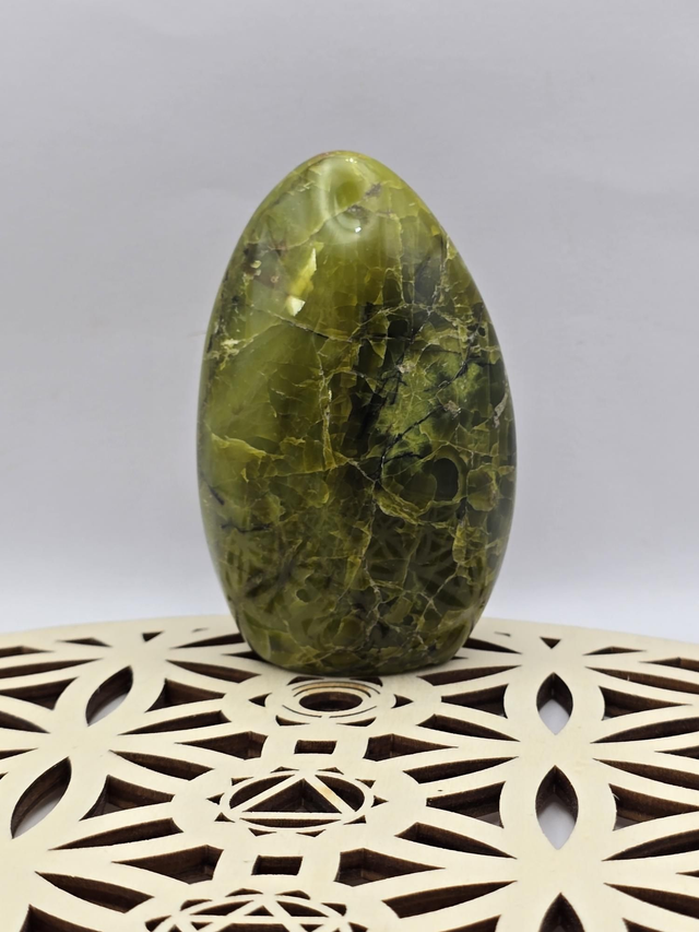 Opale verte fossilisée forme libre 