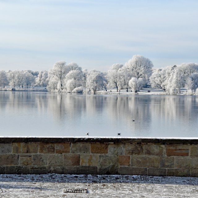 Winterufer am Aasee