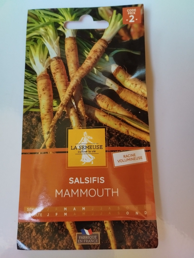 Salsifis Mammouth