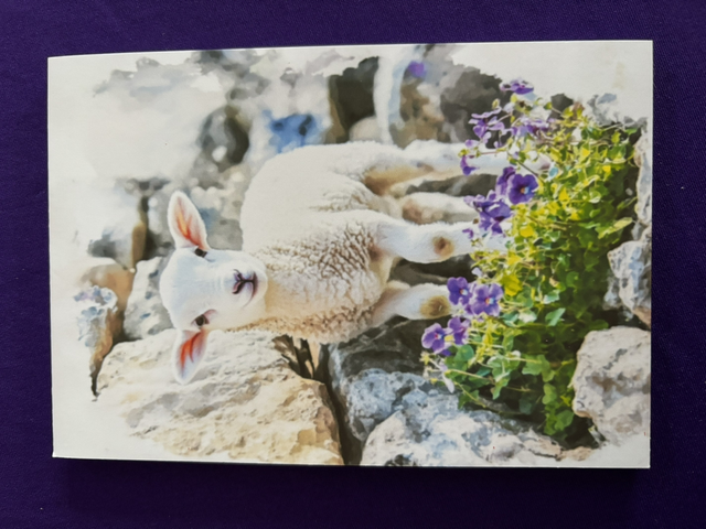 Plain Note Pad with Purple Flowers