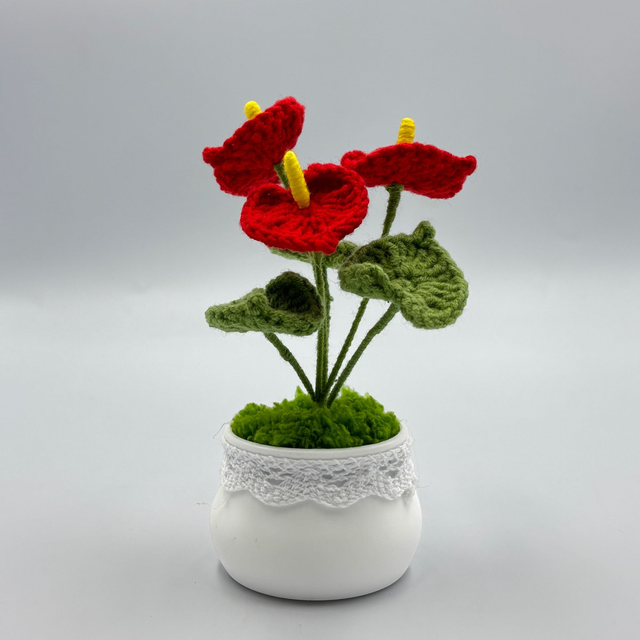 Mini Pot d&#039;Anthurihum 🌸✨