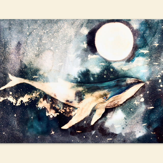 CONSTELLATION DE LA BALEINE VERSION 2 