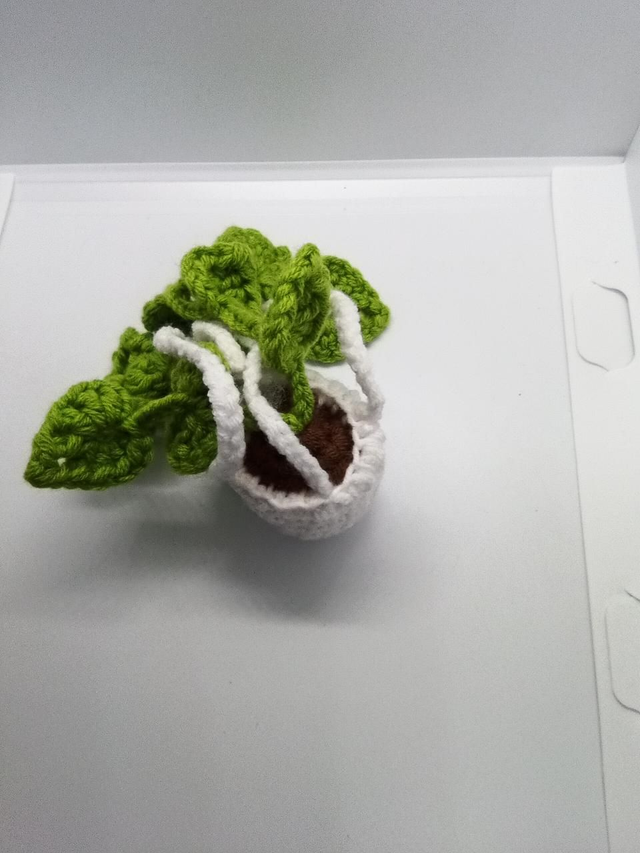 Hanging basket for car