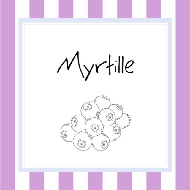 Myrtille (Gelée, 370g)