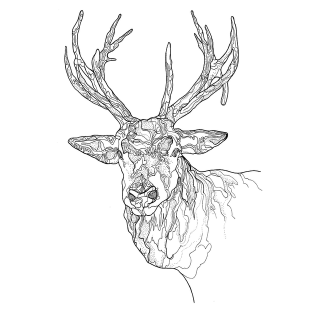 B&W A3 print - stag