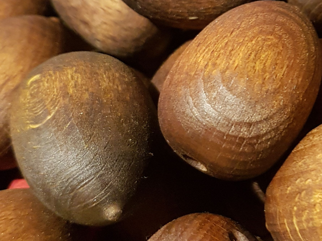 Kokos / Kokosnoot / Coconut