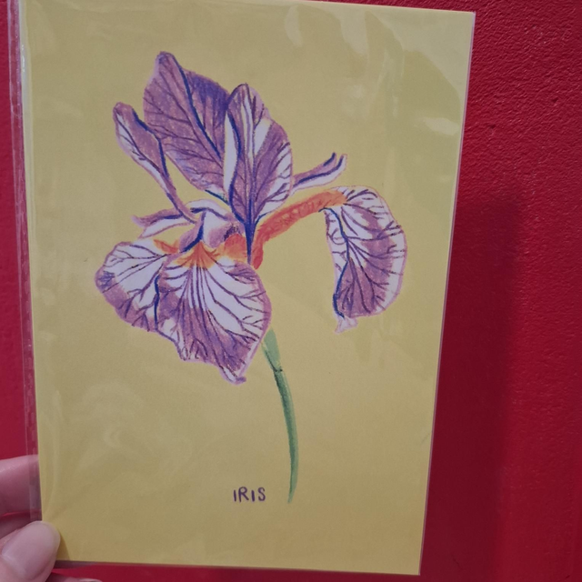 Carte A6 Justine Pocket 