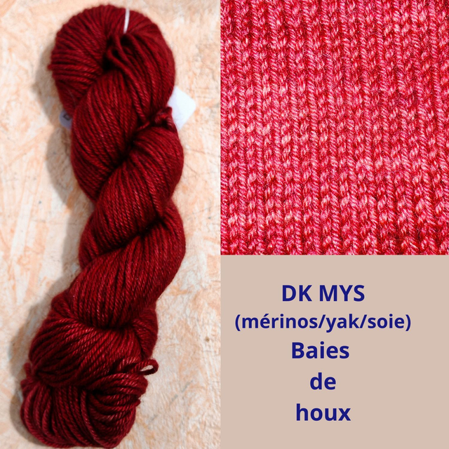 DK MYS Baies de houx 