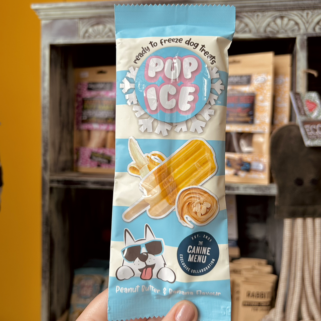The Canine Menu Pup Ice Lollies (Ready to Freeze)