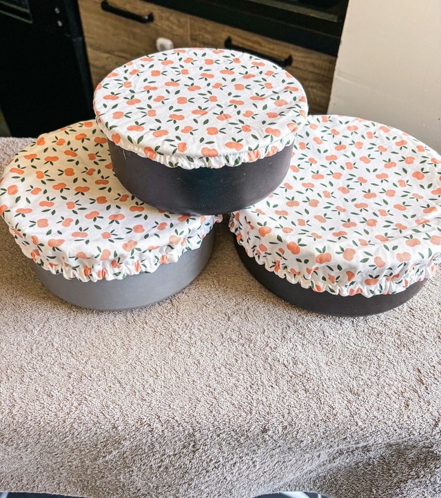 Lot de Charlottes alimentaires Apricot