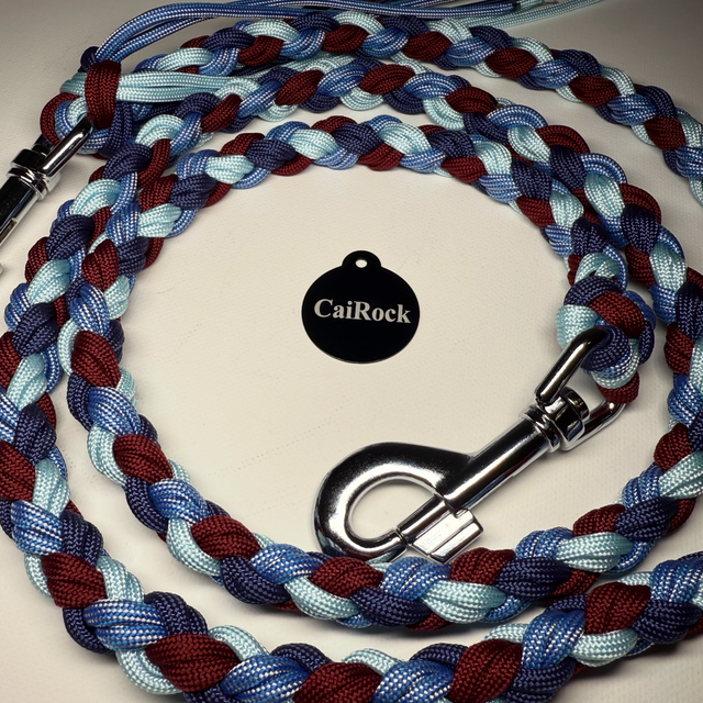 Roundbraid Leine ‚happy‘ 