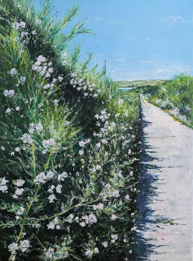 Wildflower Path to Daymer Bay, Trebetherick, Cornwall