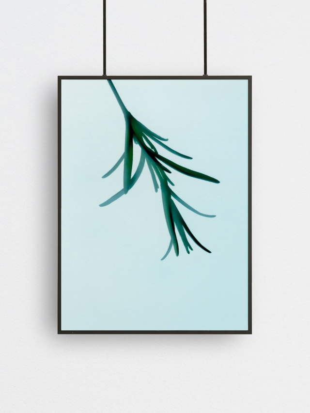 Wasteland Polaroids 2, Fine Art Print