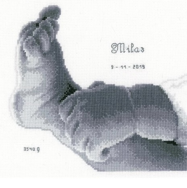 Little Baby Foot Birth Sampler Cross Stitch Kit By Vervaco 