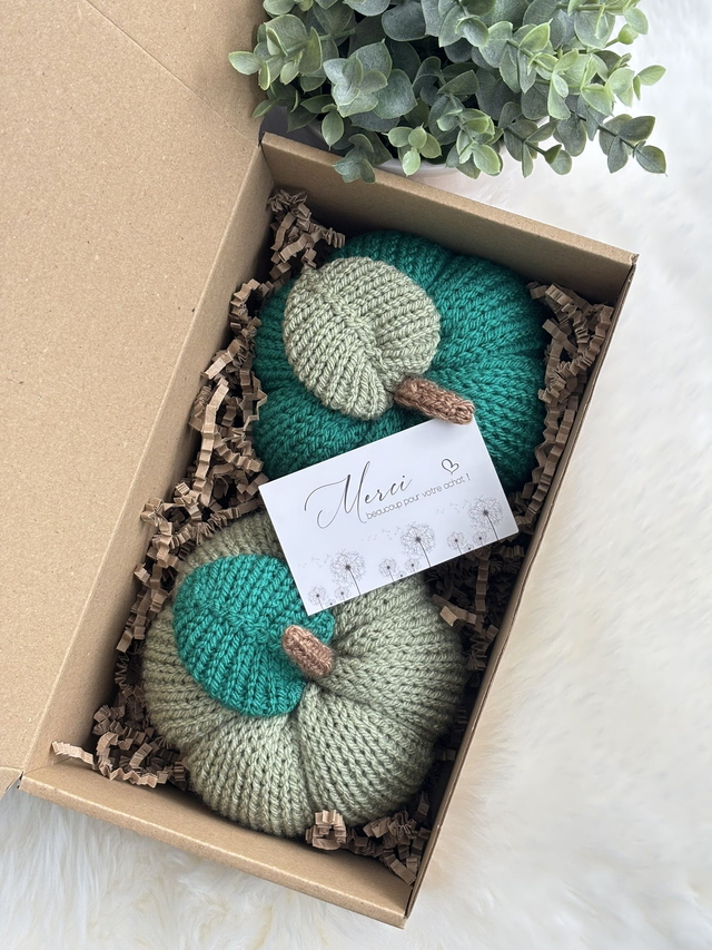 Citrouilles (Lot de 2)  