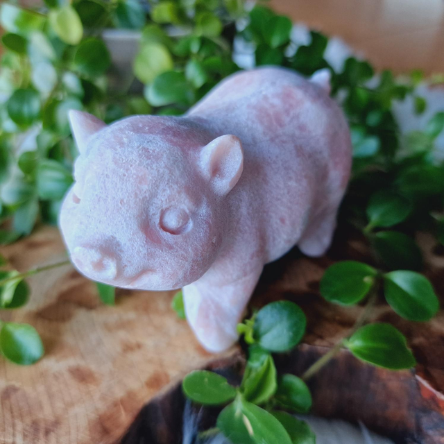 Pink Opal Pig Matt