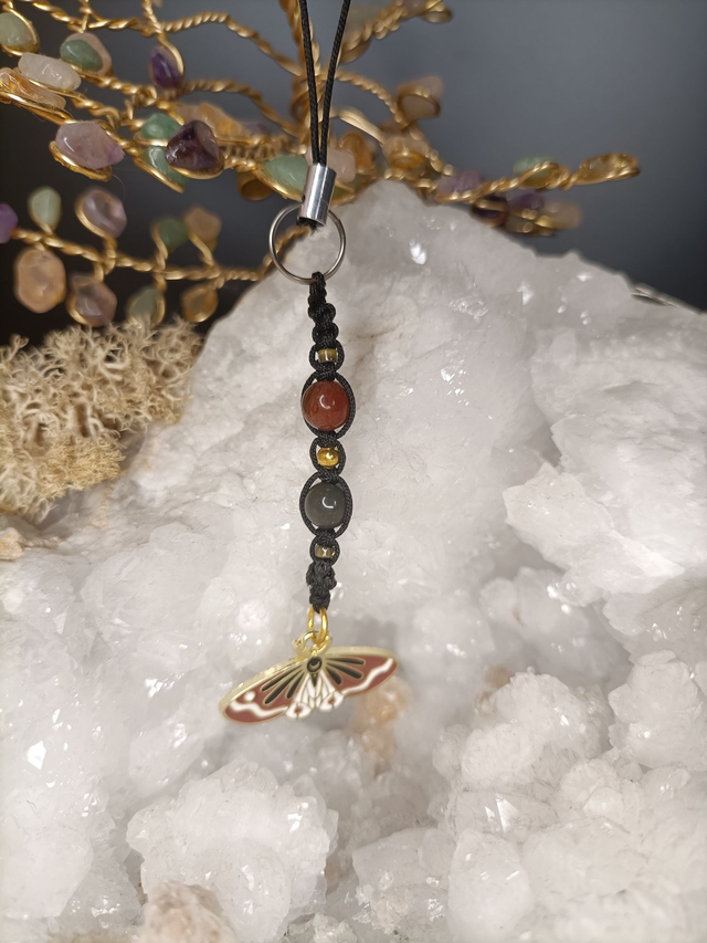 Papillon Jaspe océan