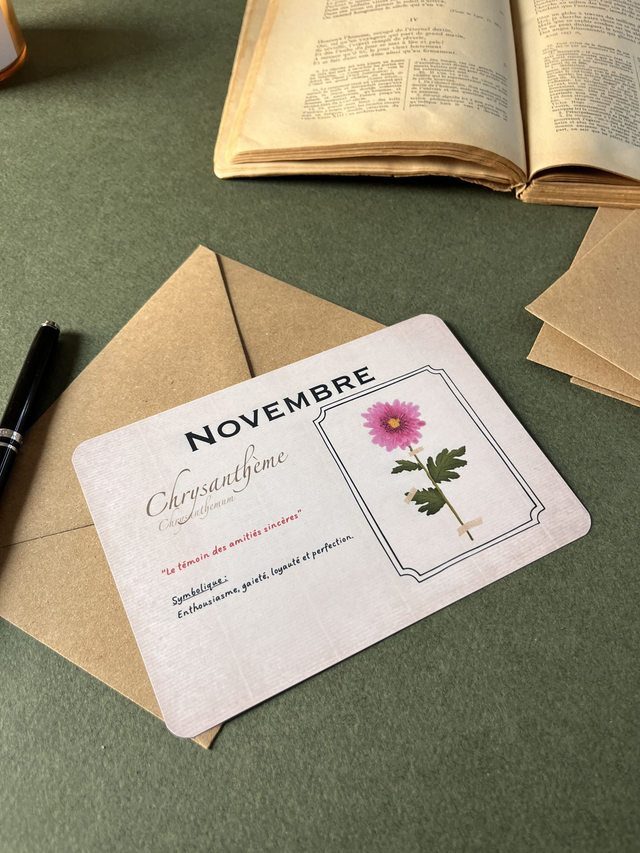 Carte 11. Novembre, le Chrysanthème