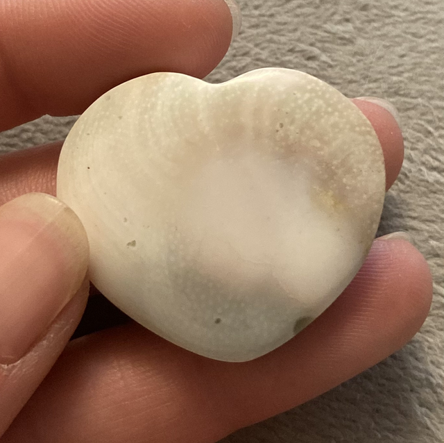 Shell heart shaped Quartz