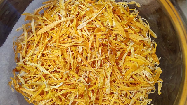 Calendula / Goudsbloem 