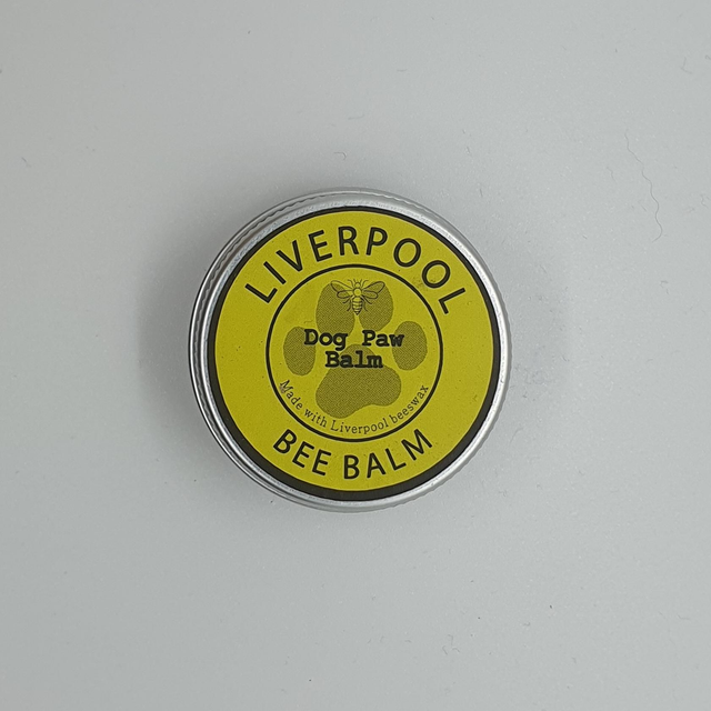 Dog Paw Balm