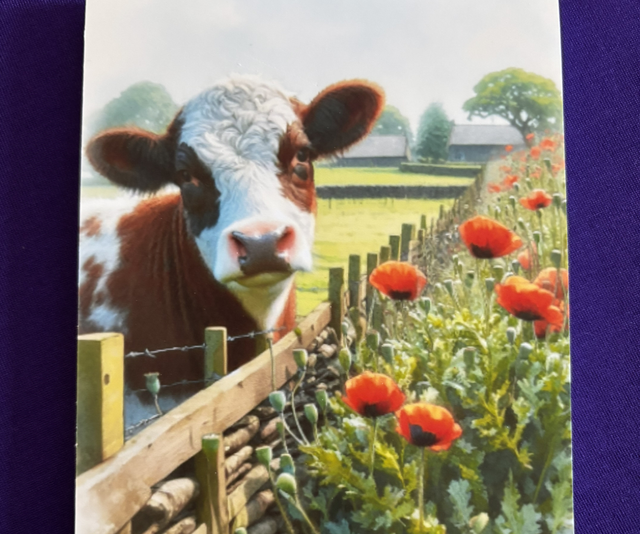 Plain Note Pad Cow brown/white by wood fence