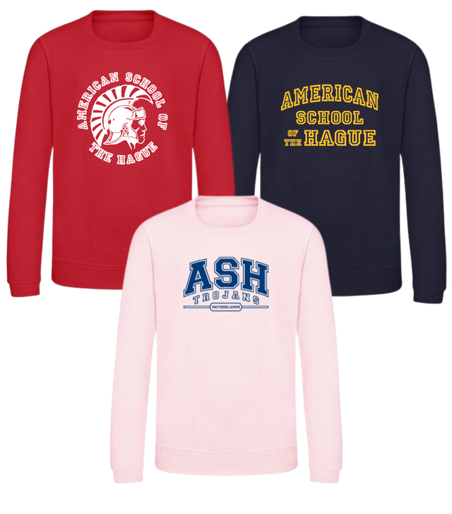 Custom crewneck sweatshirt (youth)