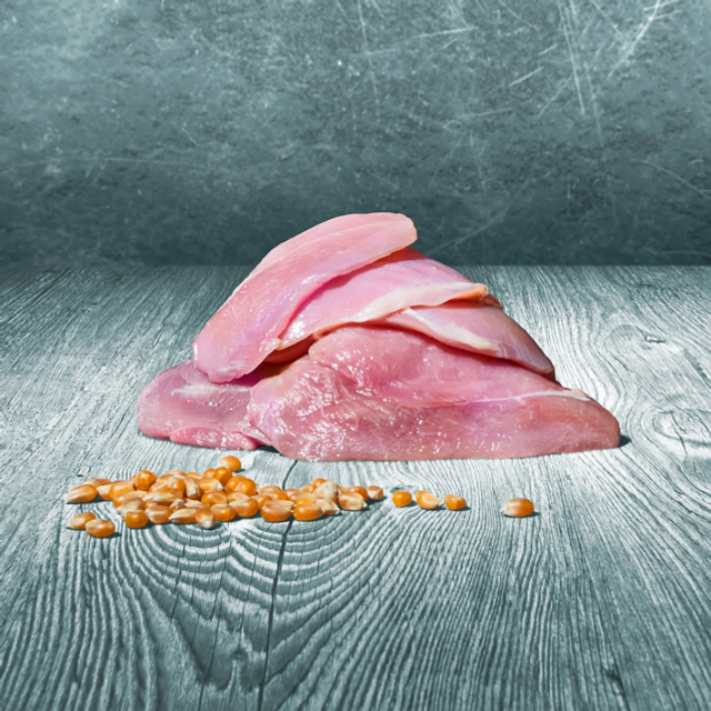 Truthahn-Muskelfleisch im Stück 500g