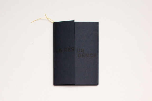 *la résurgence du Bonheur*